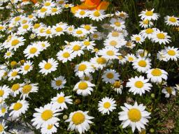 �ΉԃZ���^�[(3)